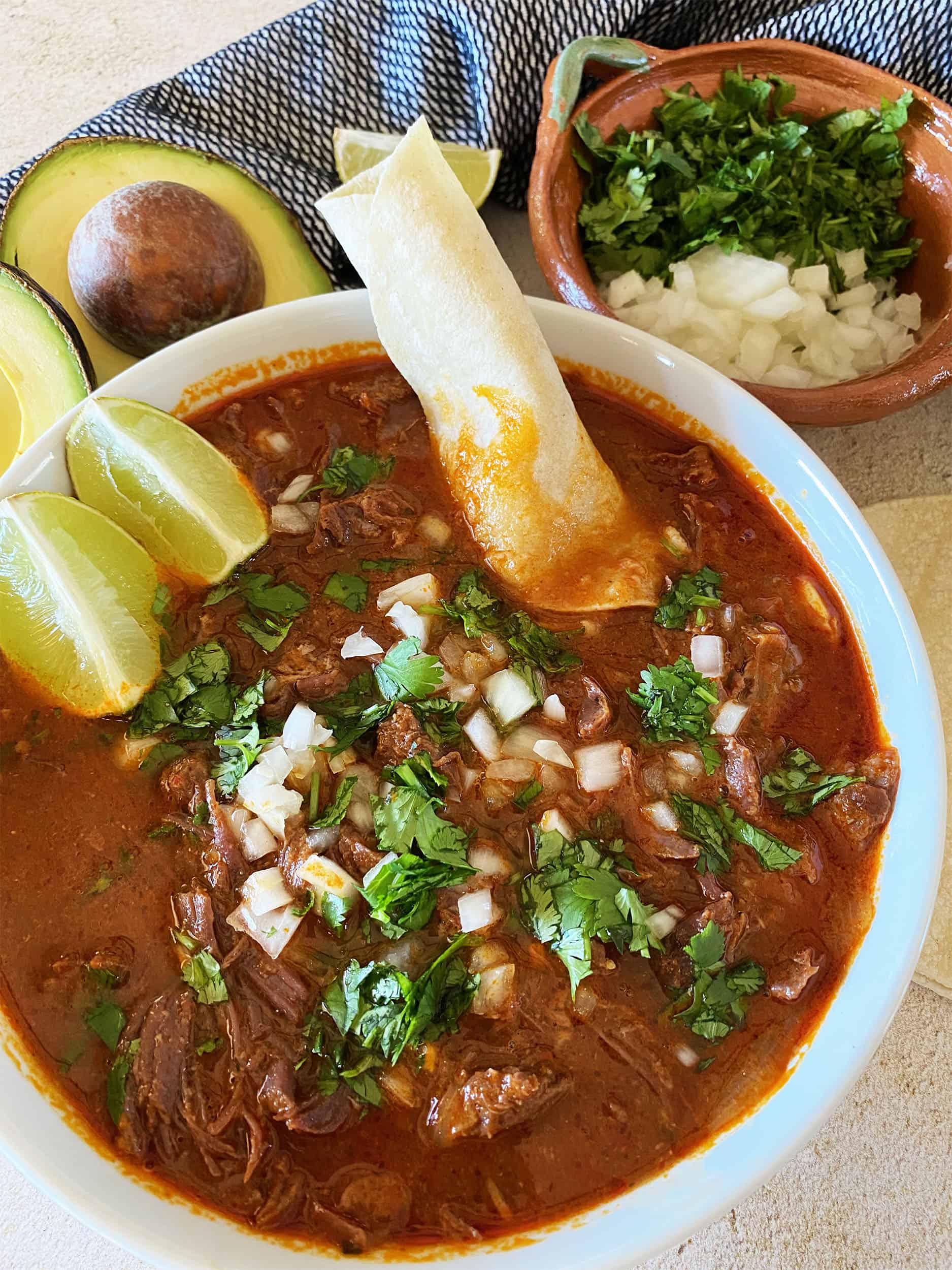 BIRRIA (MEXICAN BEEF STEW) - Hello Ani